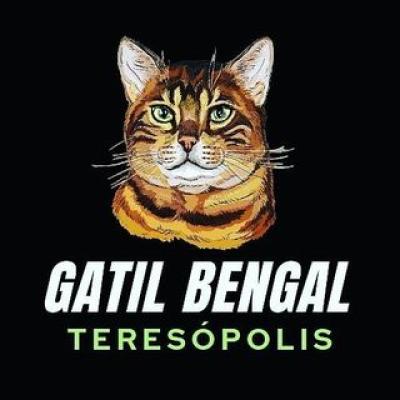 Gatil